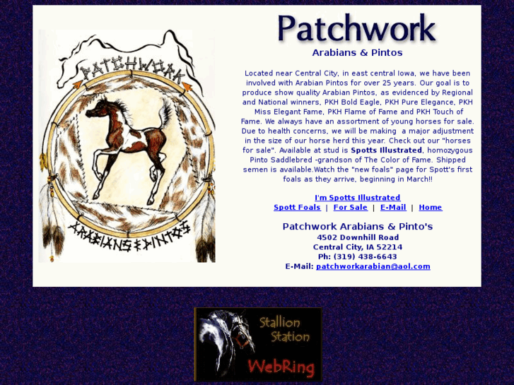 www.patchworkarabiansandpintos.com