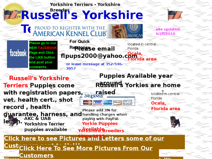 www.russellsyorkies.com