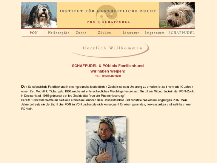 www.schafpudel-familienhund.com