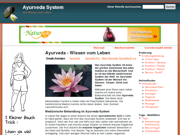 www.ayurveda-system.de