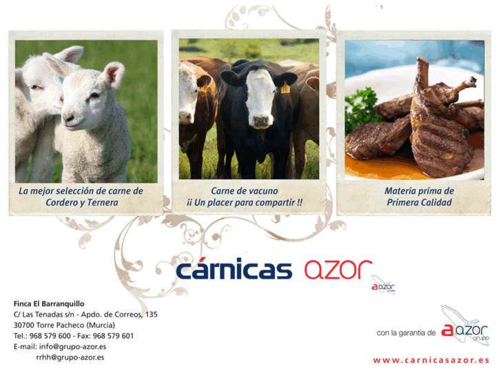 www.carnicasazor.com