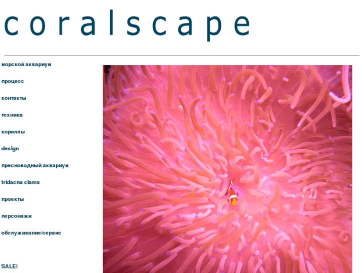 www.coralscape.net