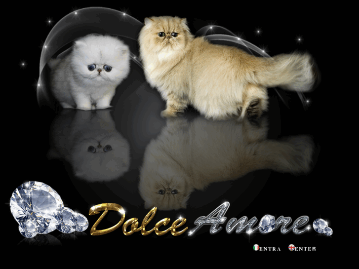 www.dolceamorecats.com