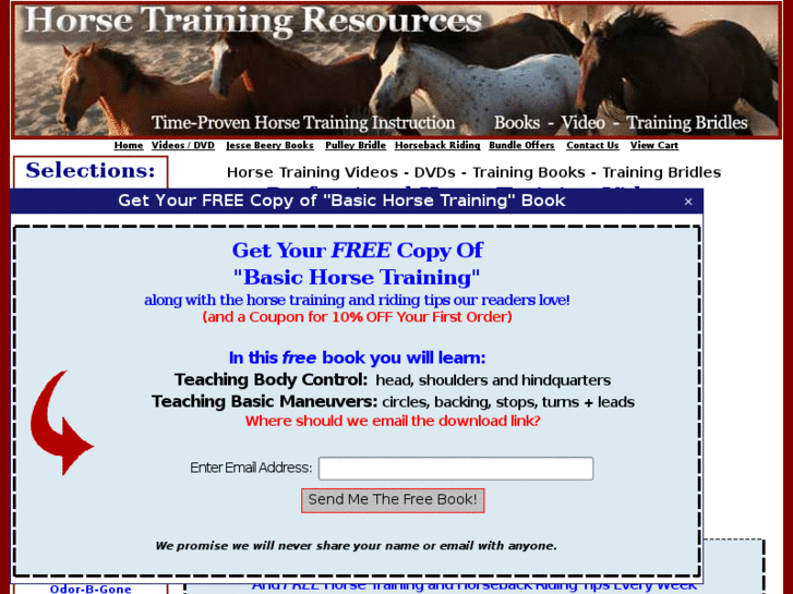 www.fasthorsetraining.com