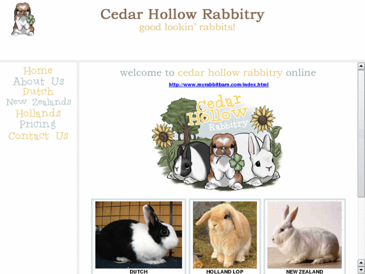 www.cedarhollowrabbits.com