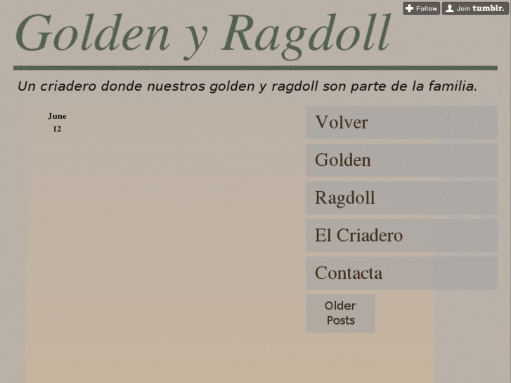 www.goldenyragdoll.es