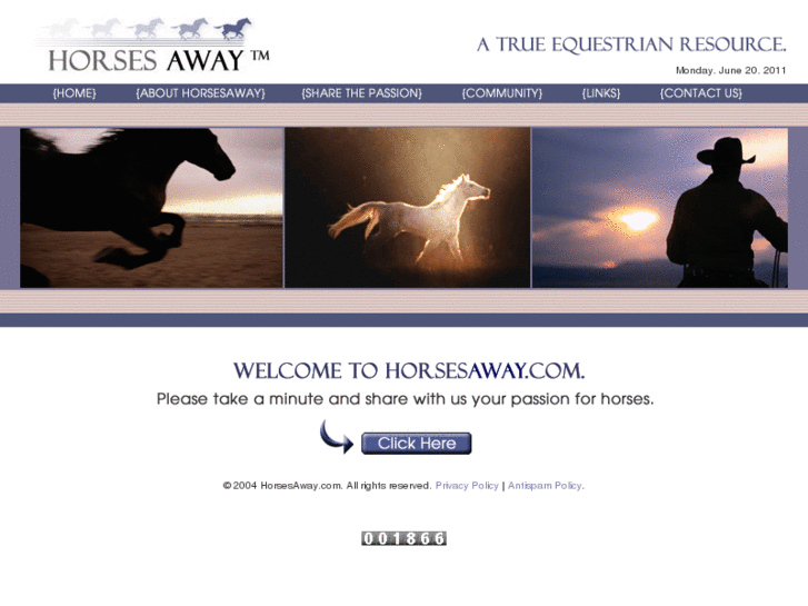 www.horsesaway.com