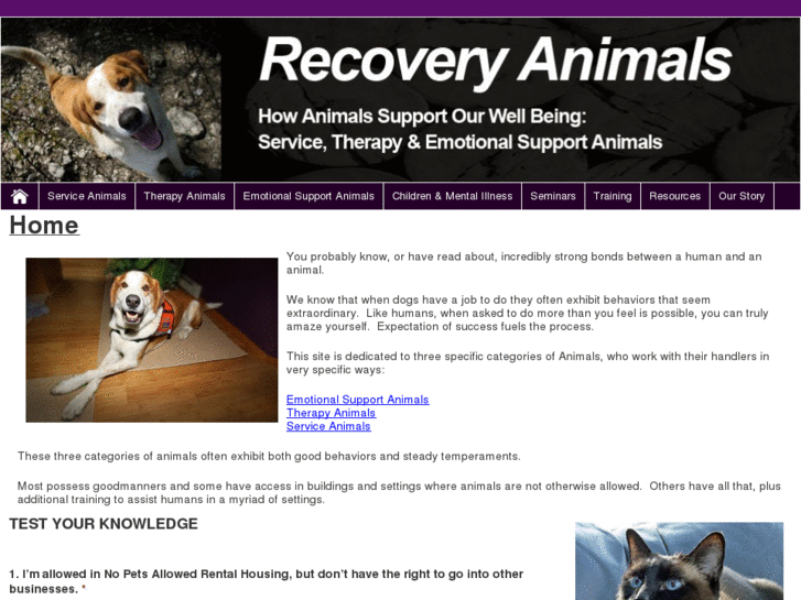 www.recoveryanimals.com