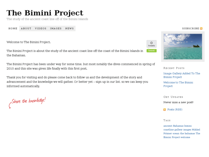 www.thebiminiproject.com