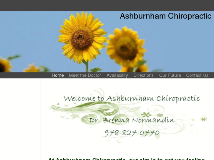 www.ashburnhamchiropractic.com