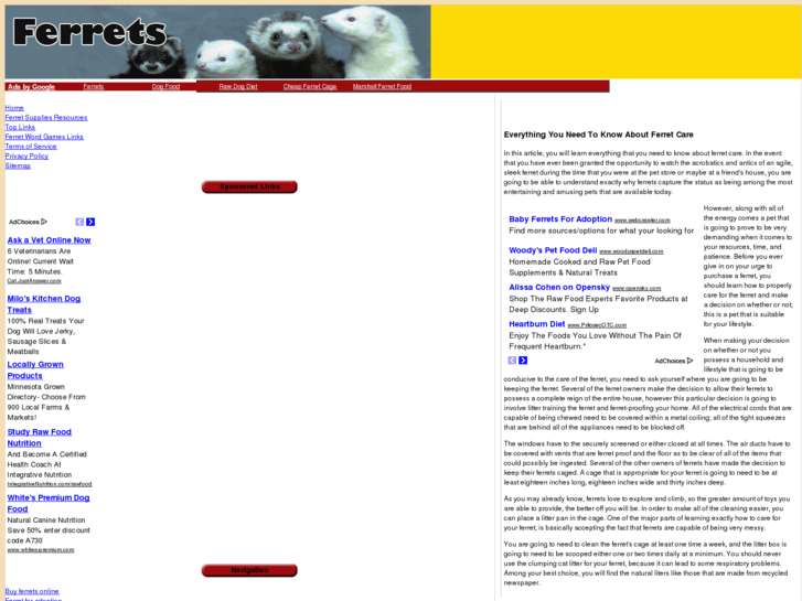 www.bestferrets.com