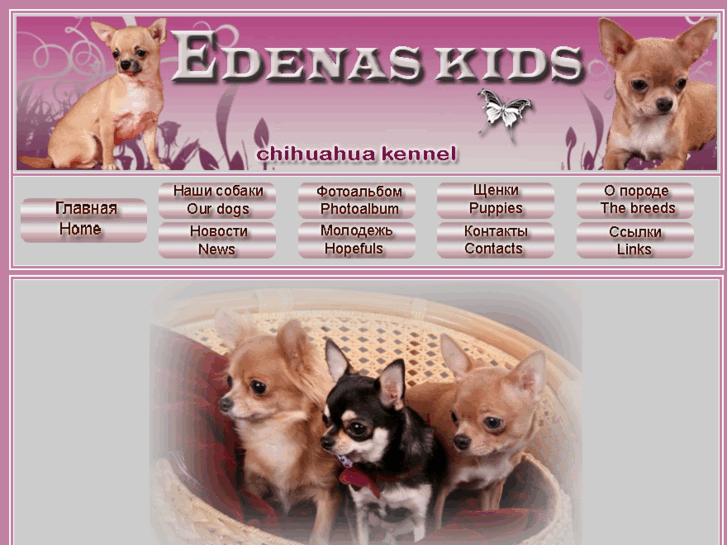 www.edenaschihua.com