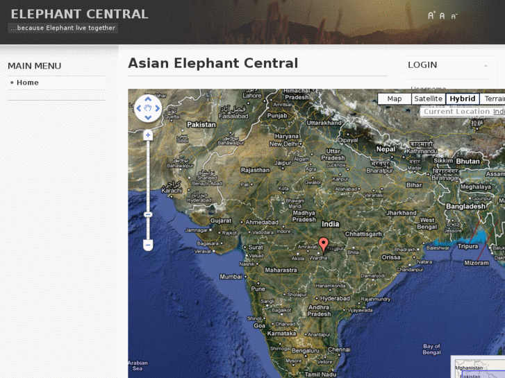 www.elephantcentral.org