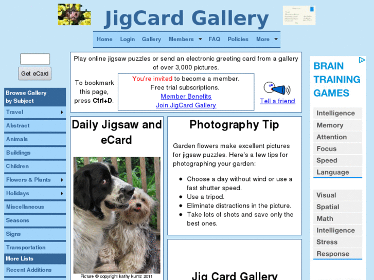 www.jigcardgallery.com