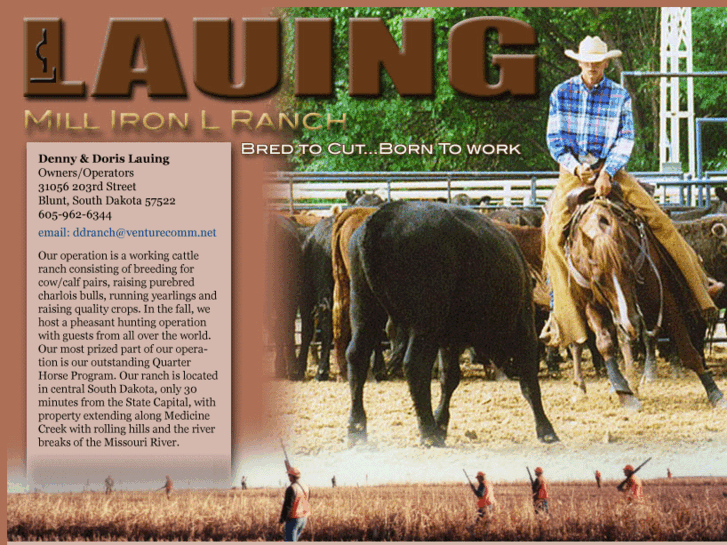 www.lauingmillironlranch.com