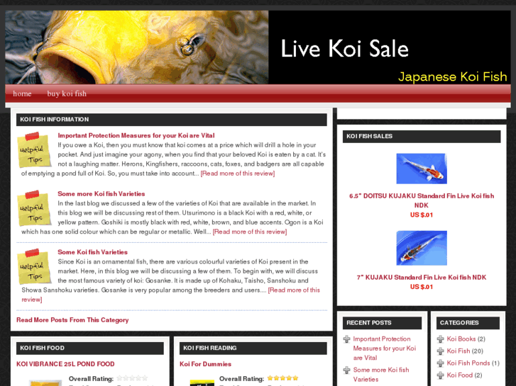 www.livekoisale.com