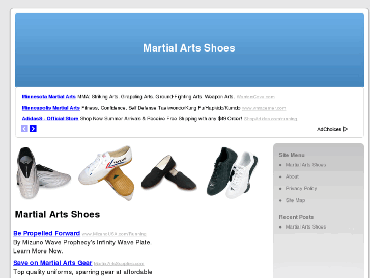 www.martialartsshoes.net