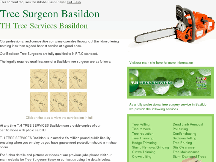 www.treesurgeon-basildon.co.uk