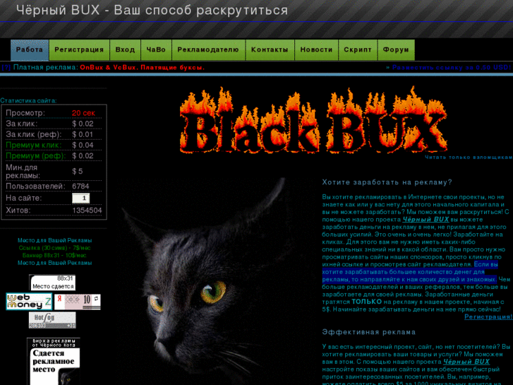 www.blackcatbux.net