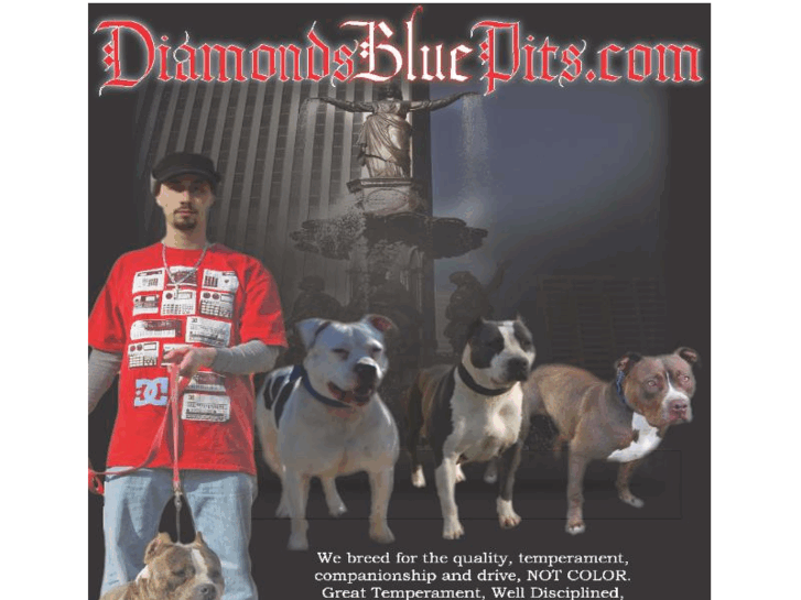 www.diamondsbluepits.com