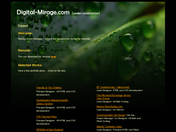 www.digital-mirage.com