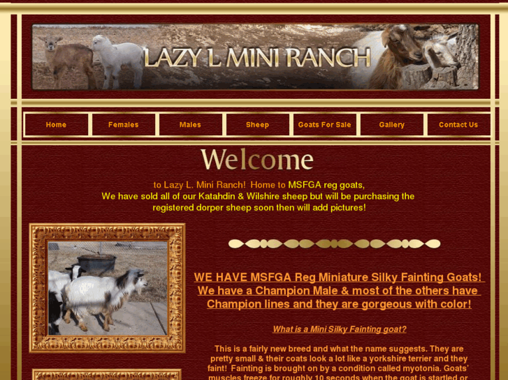 www.lazylminiranch.com