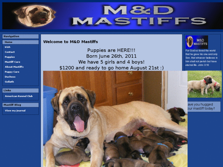 www.manddmastiffs.com