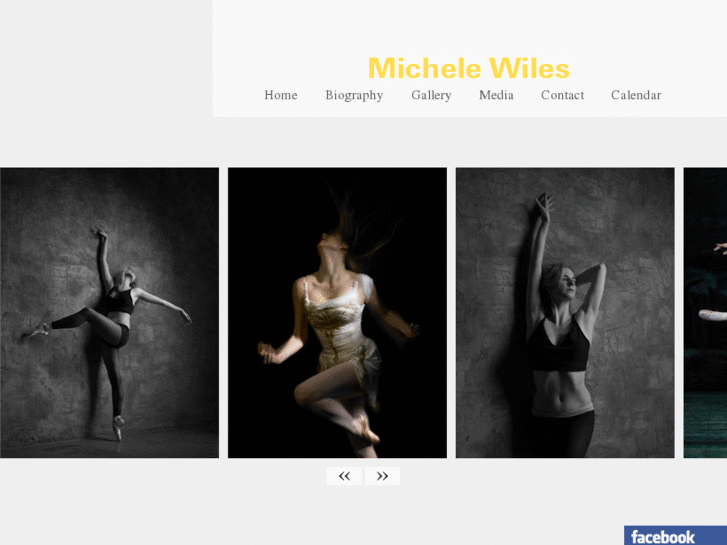 www.michelewiles.com