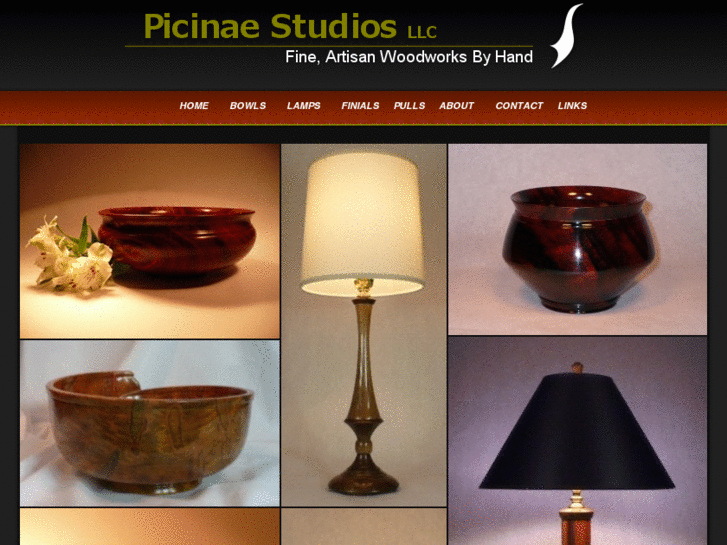 www.picinaestudios.com