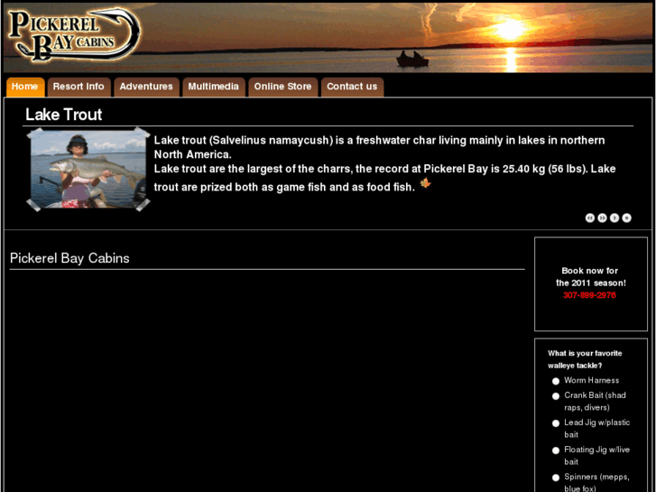 www.pickerelbaycabins.com