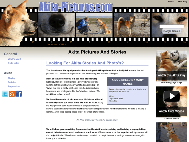 www.akita-pictures.com