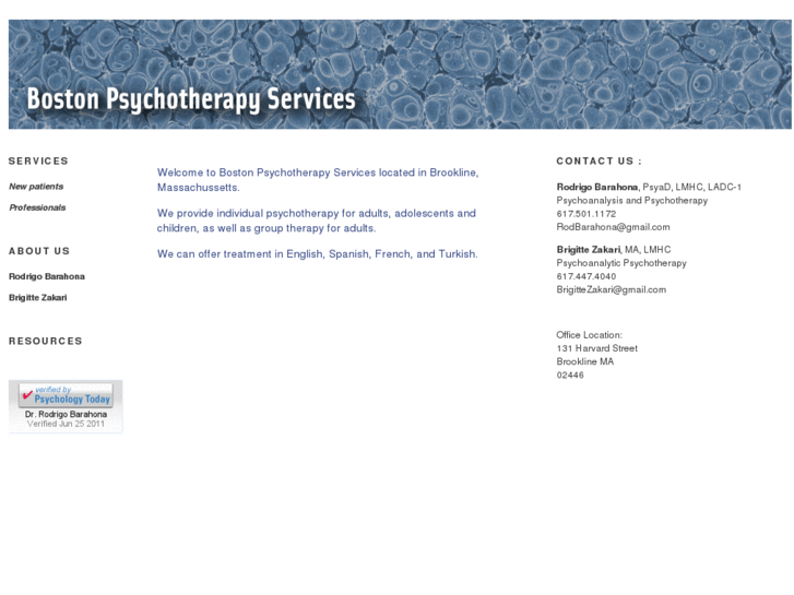 www.bostonpsychotherapyservices.com