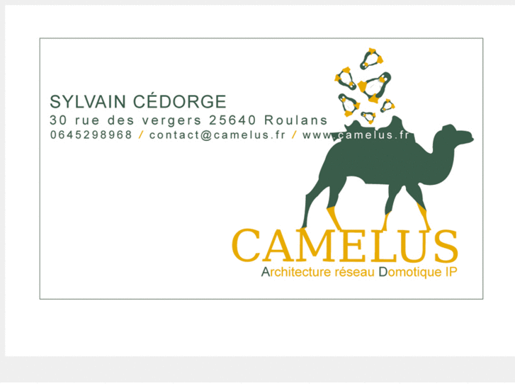 www.cedorge.com