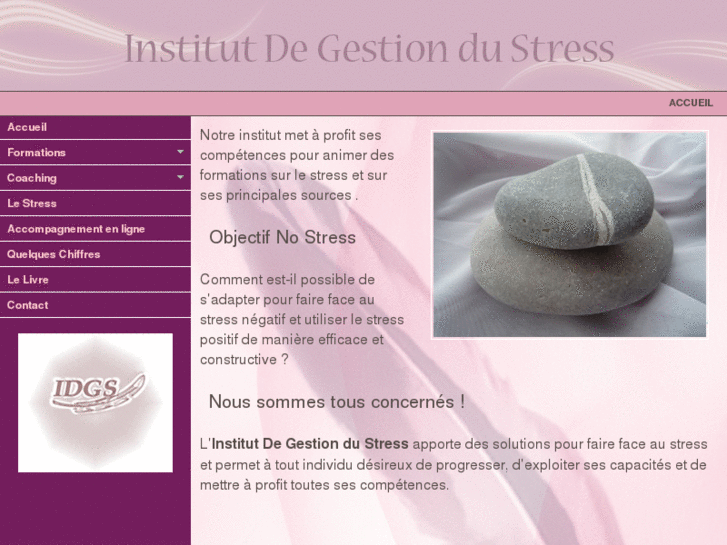 www.institutdegestiondustress.com