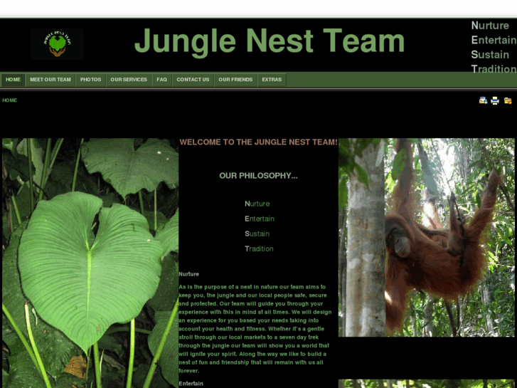 www.junglenestteam.com