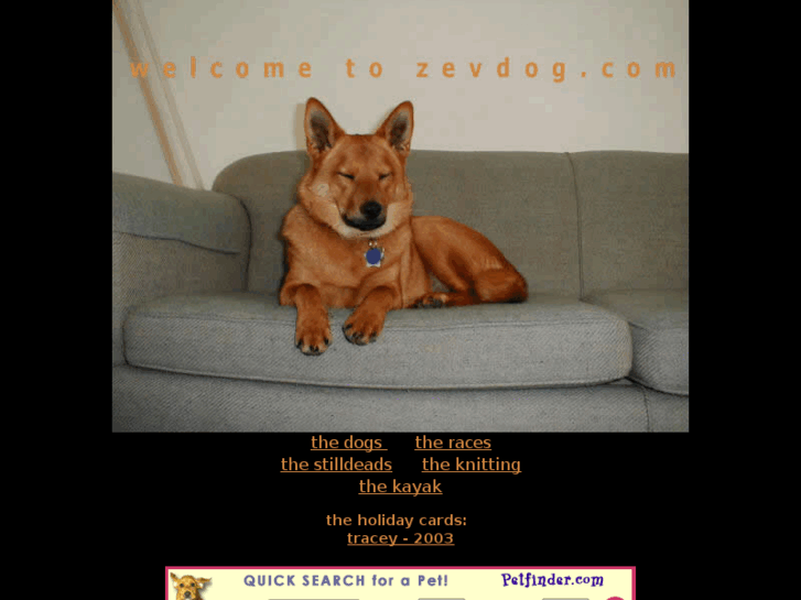 www.zevdog.com