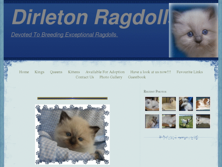 www.dirletonragdolls.net