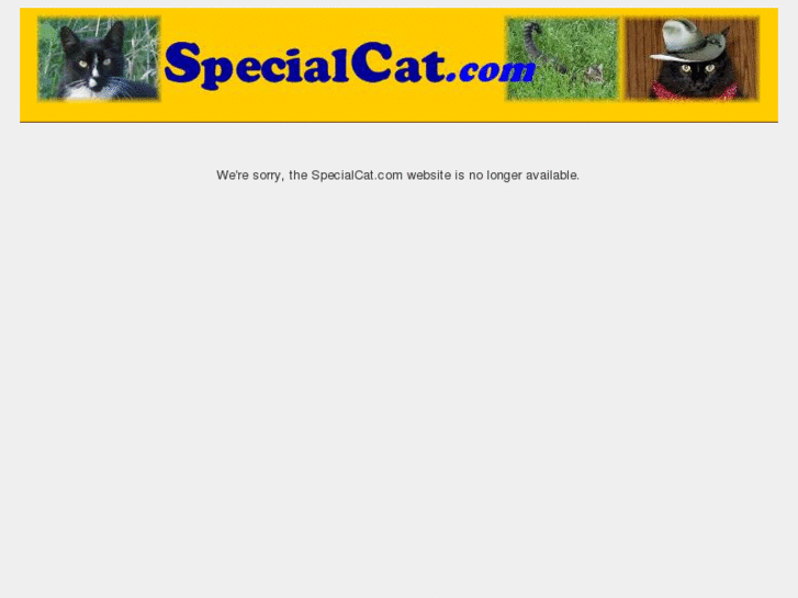 www.specialcat.com