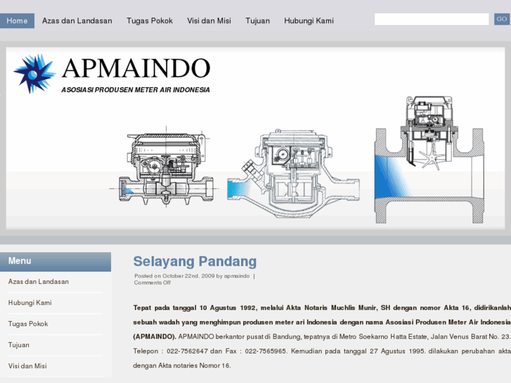 www.apmaindo.com