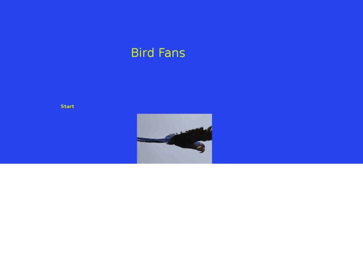 www.birdfans.net