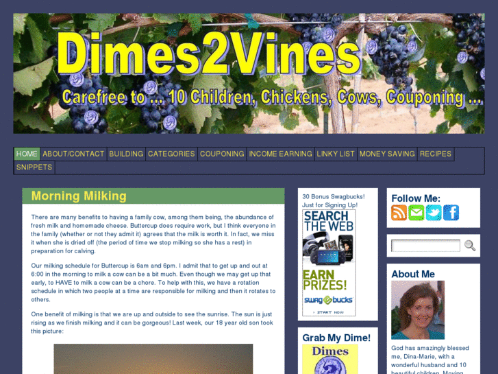 www.dimes2vines.com