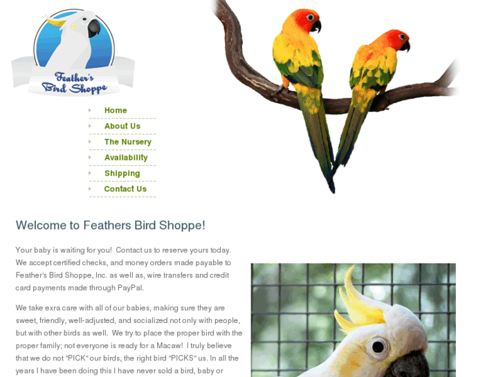 www.feathersbirdshoppe.net