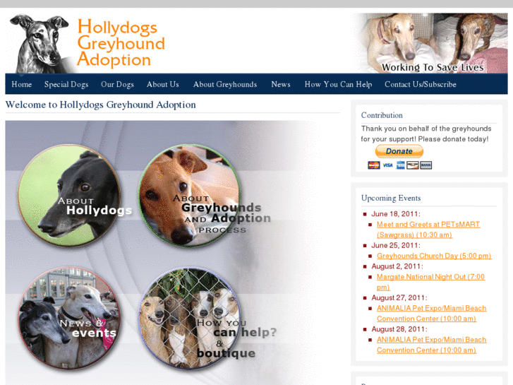 www.hollydogs.org