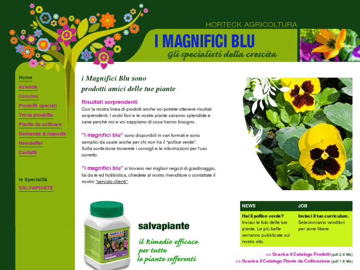 www.imagnificiblu.it