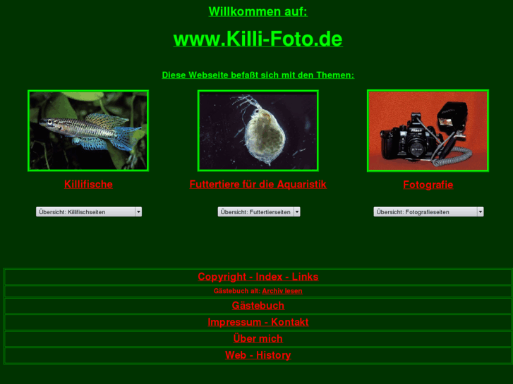 www.killi-foto.de