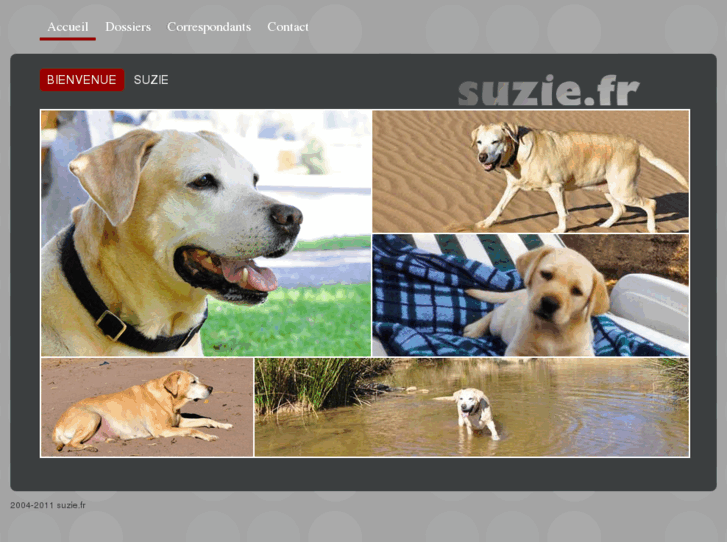 www.suzie.fr