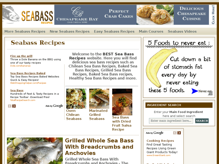 www.bestseabassrecipes.com