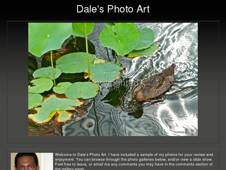 www.dalesphotoart.com