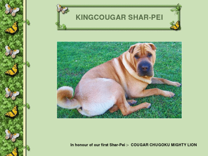 www.kingcougarshar-pei.com