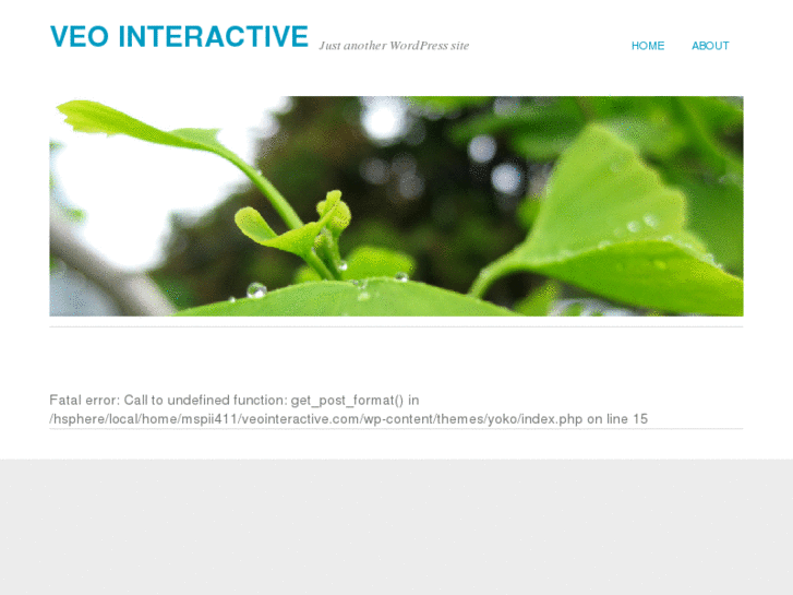 www.veointeractive.com